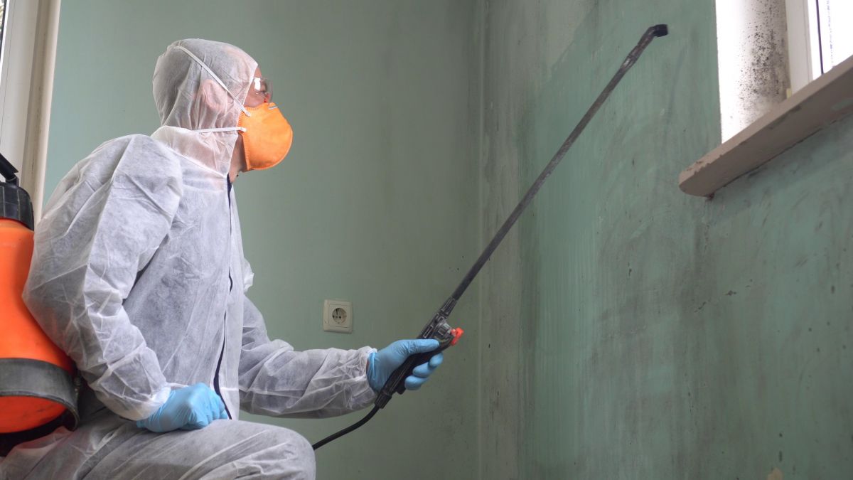 Mold Remediation Service, Mold Remediation, Mold Testing, Mold Testing Service